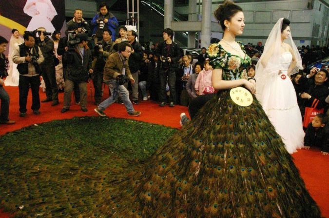 15 Most Expensive Celebrity Wedding Dresses 6 Peacock dress. 15 Most Expensive Celebrity Wedding Dresses - 6