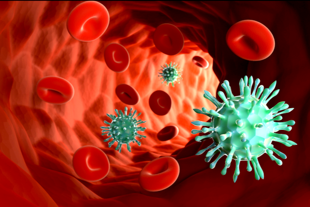 10 Reasons Why Scientists Believe Cannabis Can Treat Coronavirus 3 cannabis for immune system 10 Reasons Why Scientists Believe Cannabis Can Treat Coronavirus - 3