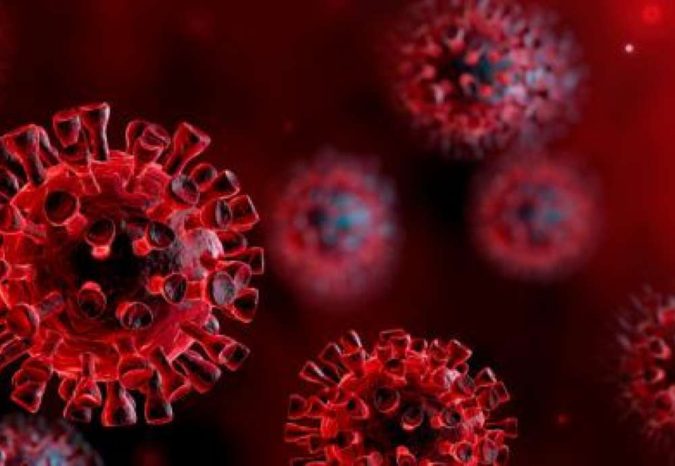 coronavirus covid 19 10 Reasons Why Scientists Believe Cannabis Can Treat Coronavirus - 16
