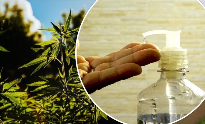 Top 10 CBD Hand Sanitizer Benefits 20 hemp sanitiser Top 10 CBD Hand Sanitizer Benefits - 20