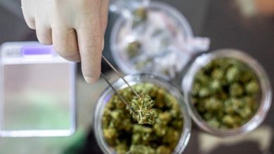 10 Reasons Why Scientists Believe Cannabis Can Treat Coronavirus 97 medical cannabis research 10 Reasons Why Scientists Believe Cannabis Can Treat Coronavirus - 97