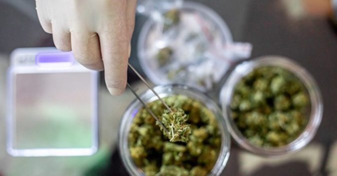 10 Reasons Why Scientists Believe Cannabis Can Treat Coronavirus 5 medical cannabis research 10 Reasons Why Scientists Believe Cannabis Can Treat Coronavirus - 5
