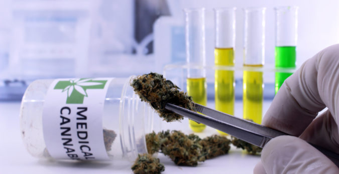 10 Reasons Why Scientists Believe Cannabis Can Treat Coronavirus 17 medical cannabis test 10 Reasons Why Scientists Believe Cannabis Can Treat Coronavirus - 17