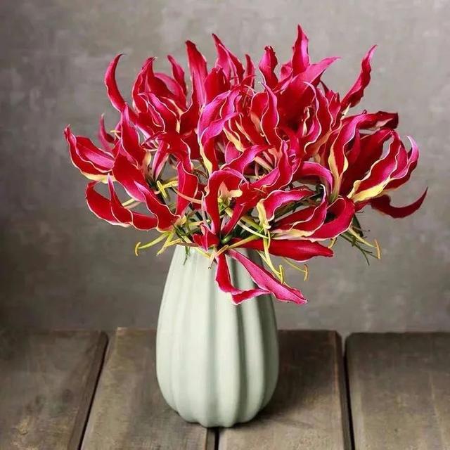 Gloriosa Lily 2 Top 10 Most Expensive Flowers in The World - 15