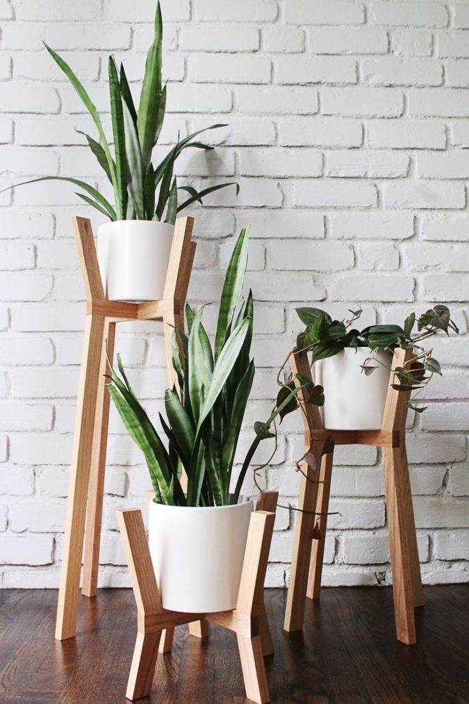 Why Houseplants Are This Year’s Best Birthday Gifts 6 Houseplants Why Houseplants Are This Year’s Best Birthday Gifts - 6