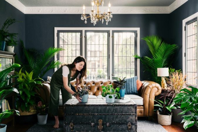 Why Houseplants Are This Year’s Best Birthday Gifts 5 Houseplants home decor 3 Why Houseplants Are This Year’s Best Birthday Gifts - 5