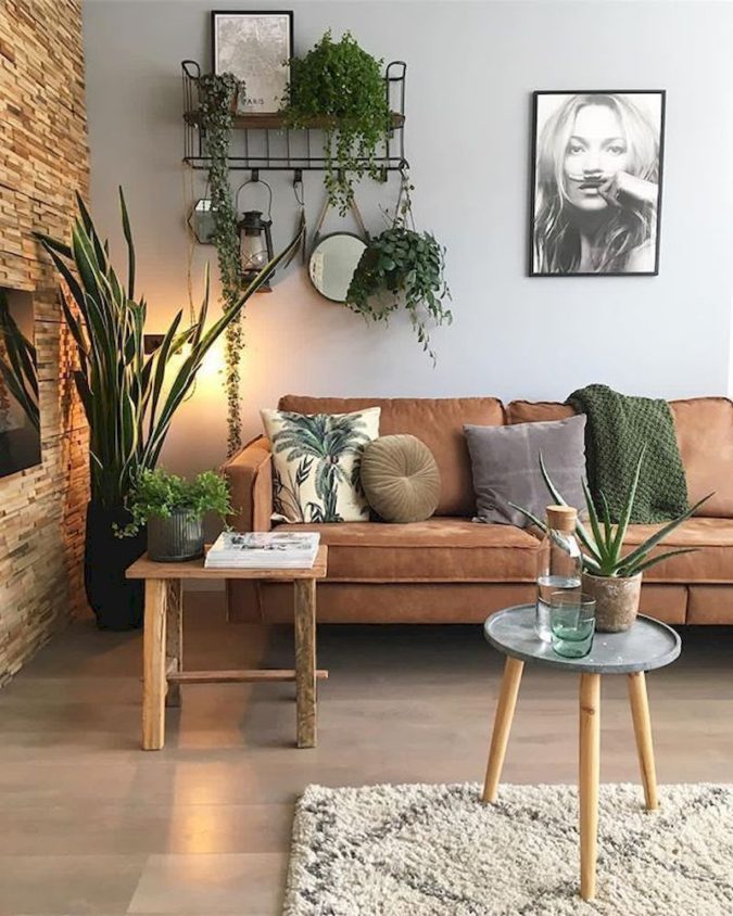 Why Houseplants Are This Year’s Best Birthday Gifts 7 Houseplants home decor 6 Why Houseplants Are This Year’s Best Birthday Gifts - 7