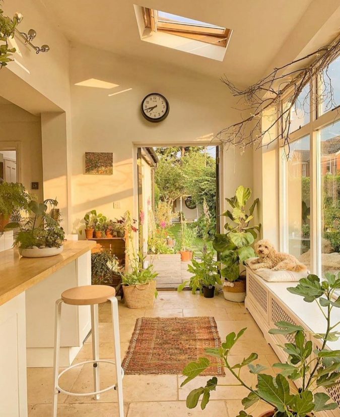 Why Houseplants Are This Year’s Best Birthday Gifts 2 Houseplants home decor Why Houseplants Are This Year’s Best Birthday Gifts - 2