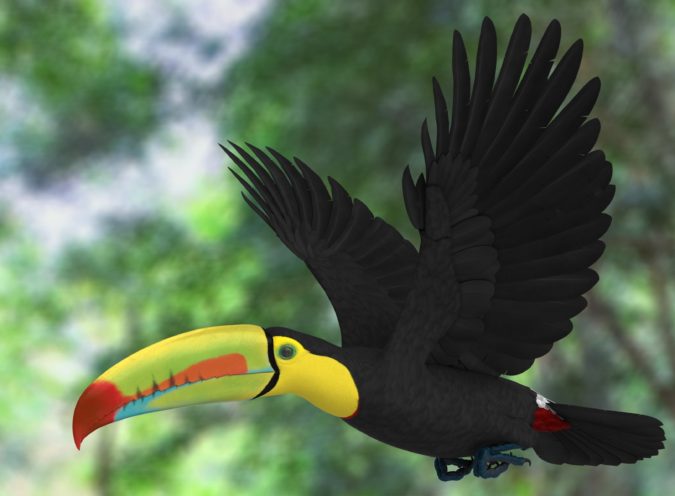 Keel-billed-toucan-1-675x496 Top 20 Most Beautiful Colorful Birds in The World