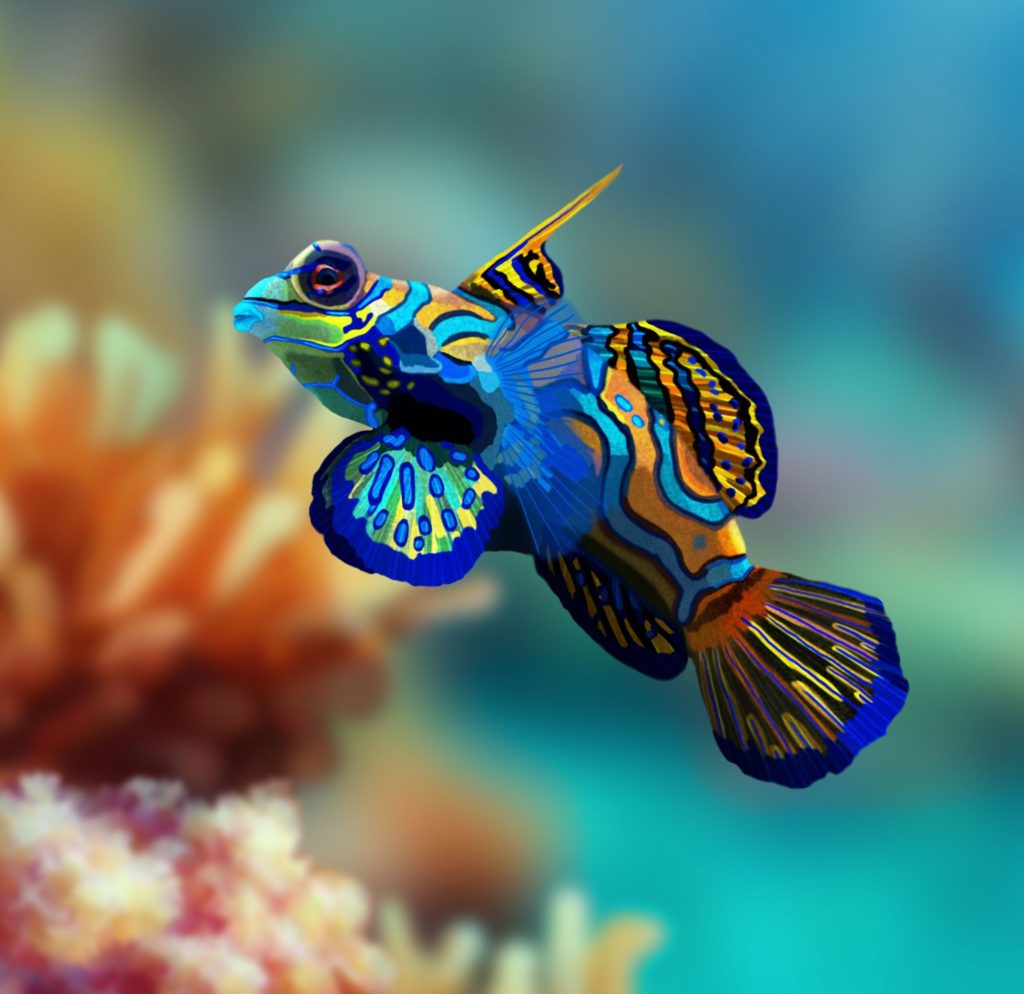 Mandarinfish. 1 e1597423822746 Top 10 Most Beautiful Colorful Fish Types - 1