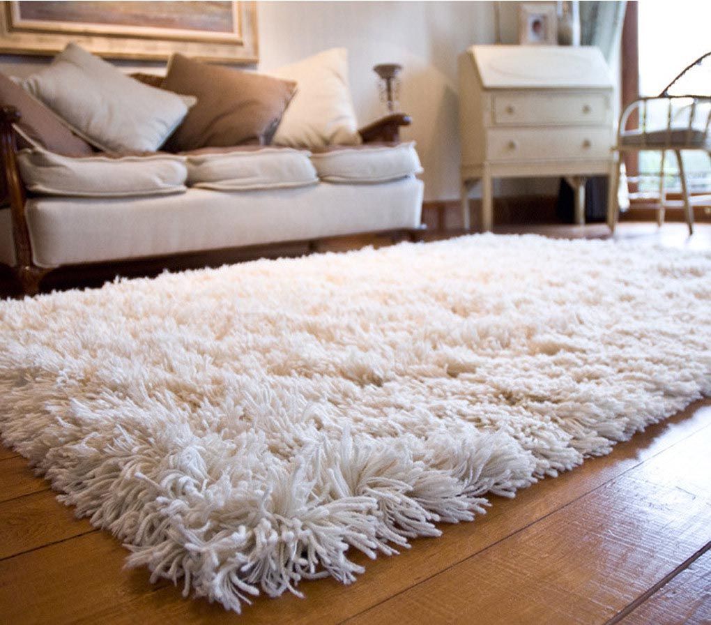 Shag carpets Top 10 Outdated Home Decorating Trends to Avoid - 4
