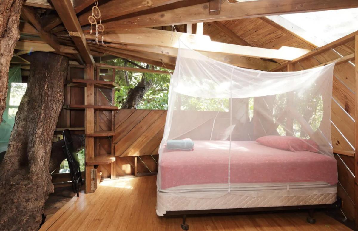 Tree House in Florida. 1 Top 25 Strangest Houses around the World - 17