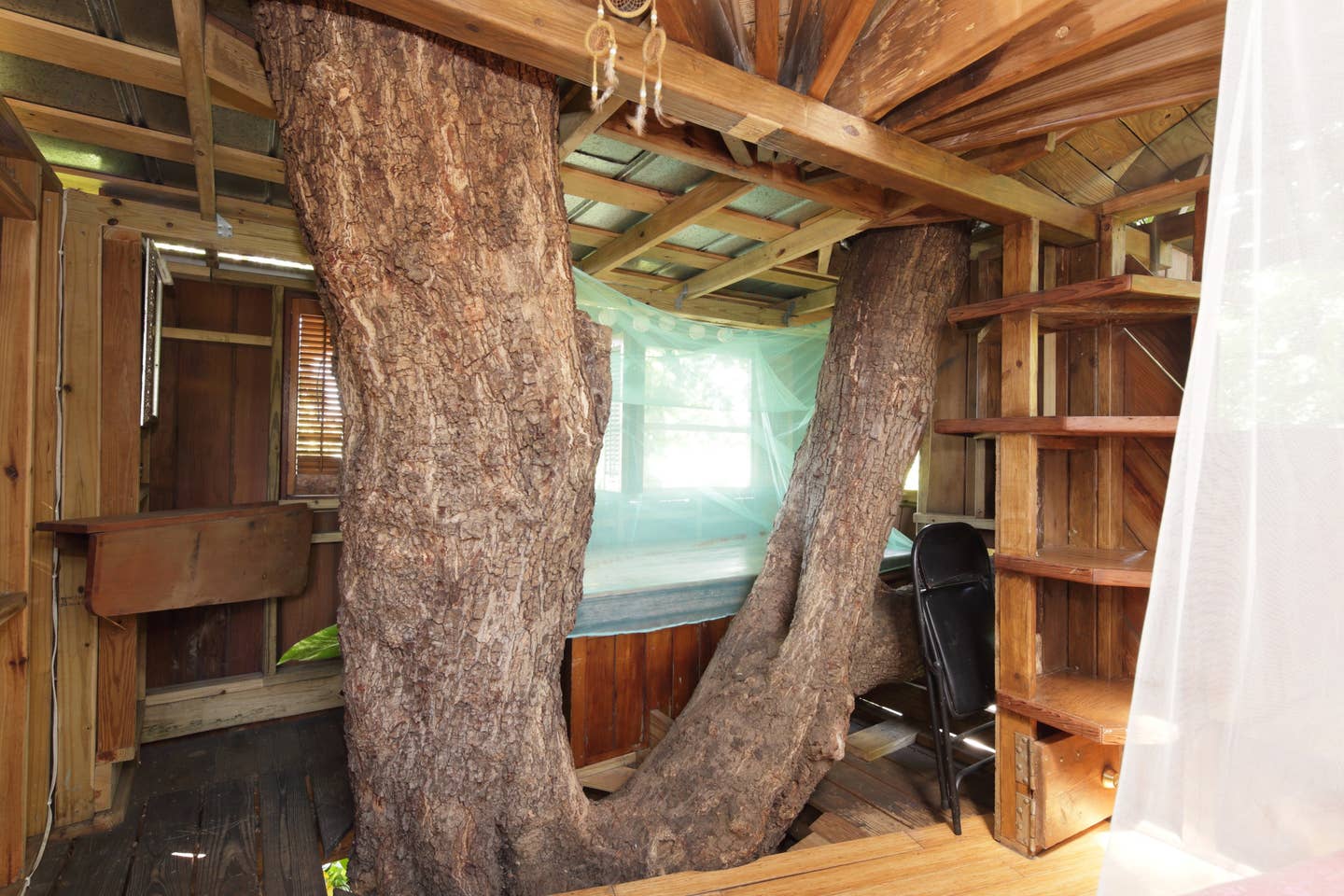 Tree House in Florida. Top 25 Strangest Houses around the World - 16