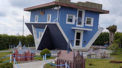Upside Down House Top 25 Strangest Houses around the World - 98 Rarest Dog Breeds