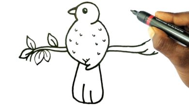 Bird 1 Top 10 Easiest Things to Draw - 27