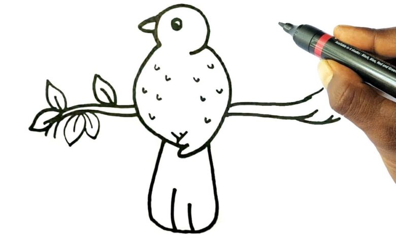Bird 1 Top 10 Easiest Things to Draw - develop your drawing skills 1