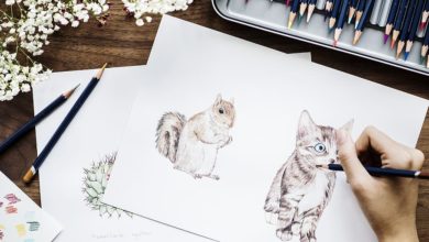 Drawing animals 7 Tips to Draw Cute Animals - 12