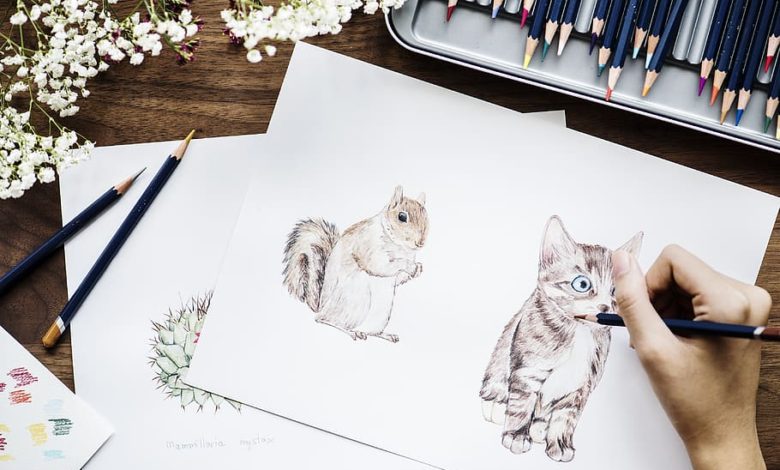 Drawing animals 7 Tips to Draw Cute Animals - drawing guide for beginners 1