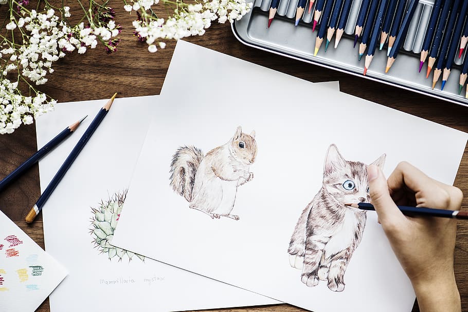 Drawing animals 7 Tips to Draw Cute Animals - 15