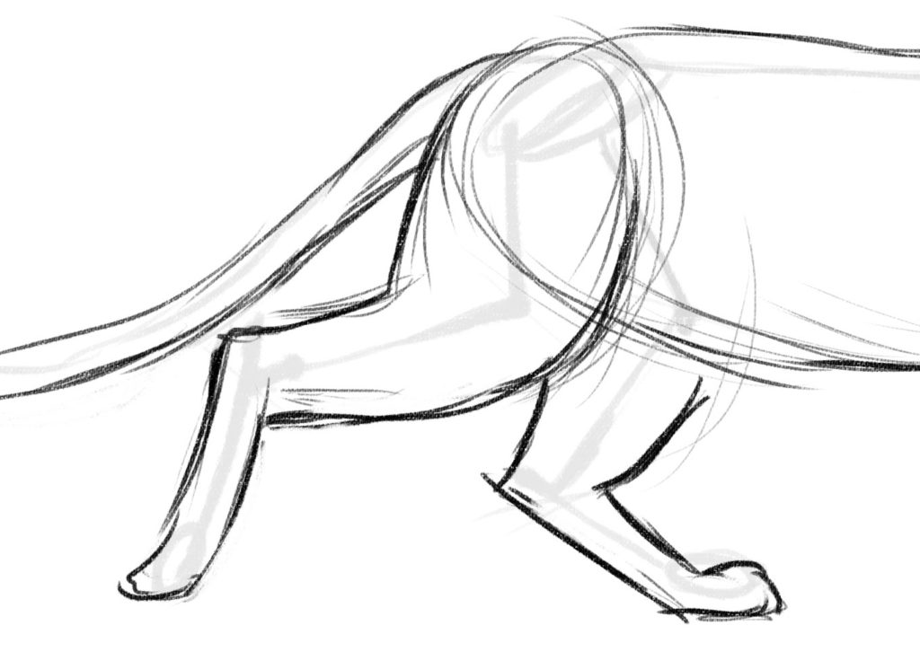 distribution-of-weight-1024x726 7 Tips to Draw Cute Animals