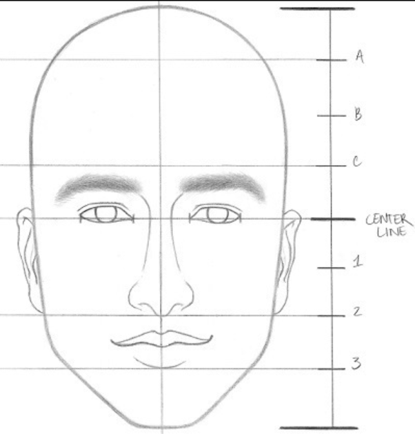 faces-proportions-1 How to Draw a Realistic Face Step By Step