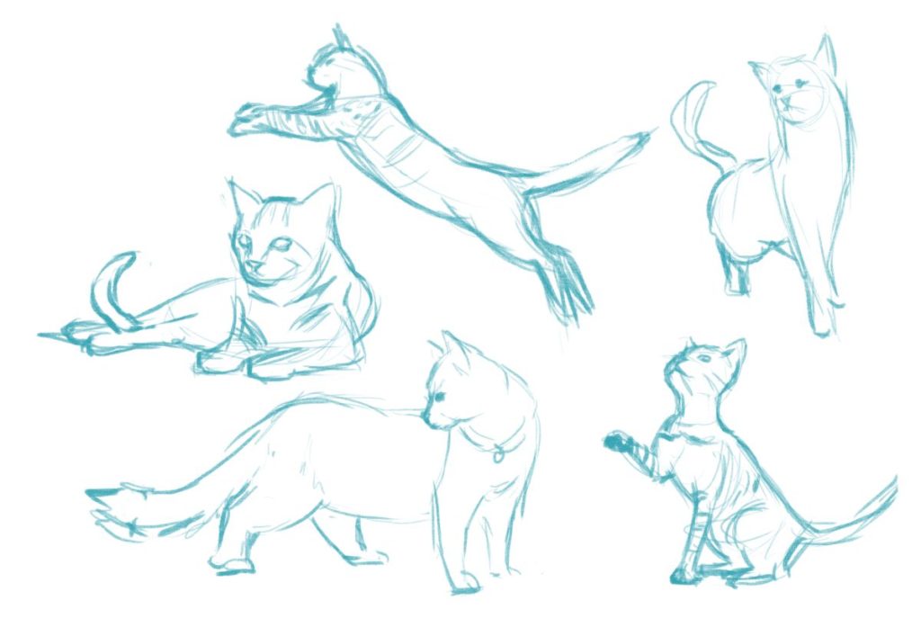 DRAWING ANIMALS 1: A GENERAL APPROACH TO QUADRUPEDS - YouTube