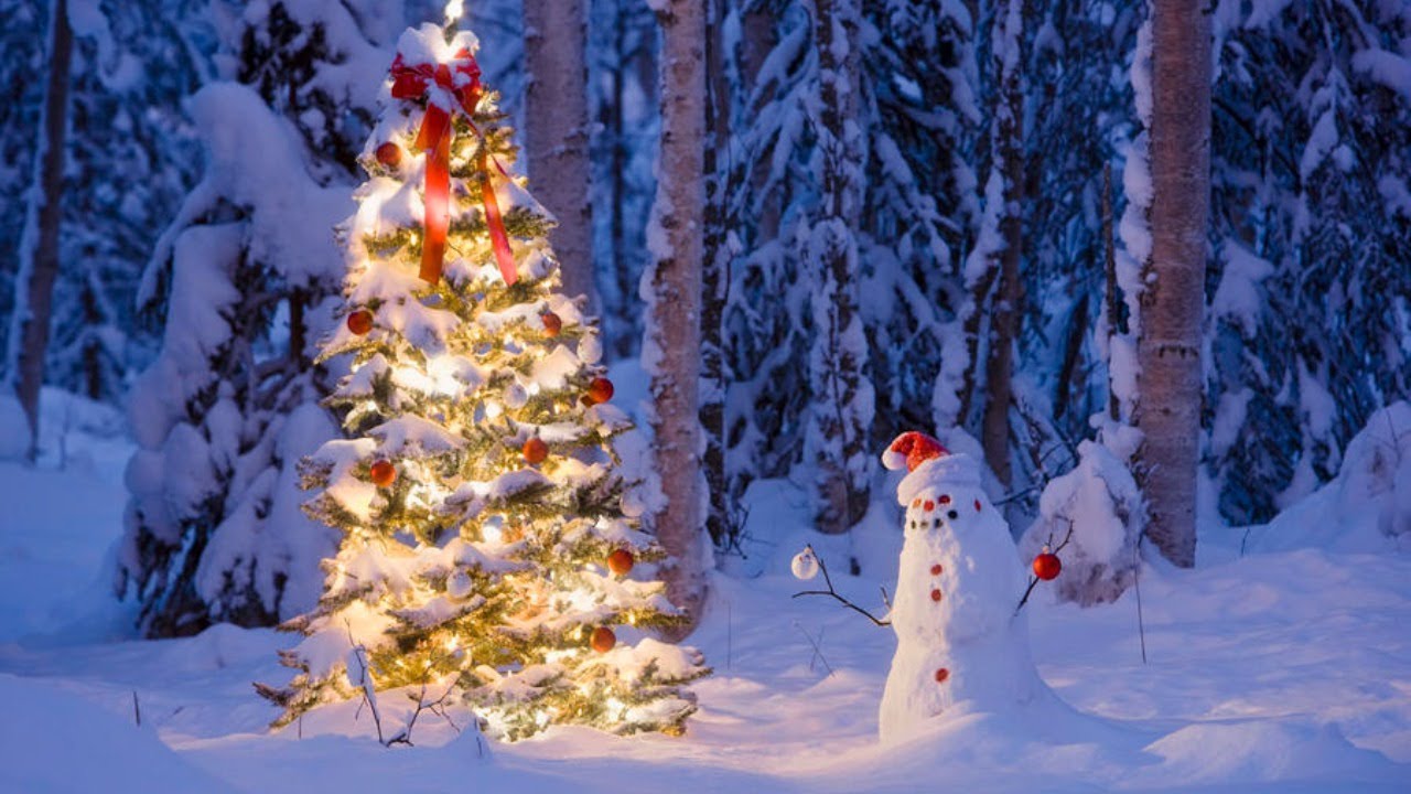 70+ Creative Christmas Decorations to Do 16 Christmas Tree. 70+ Creative Christmas Decorations to Do - 16