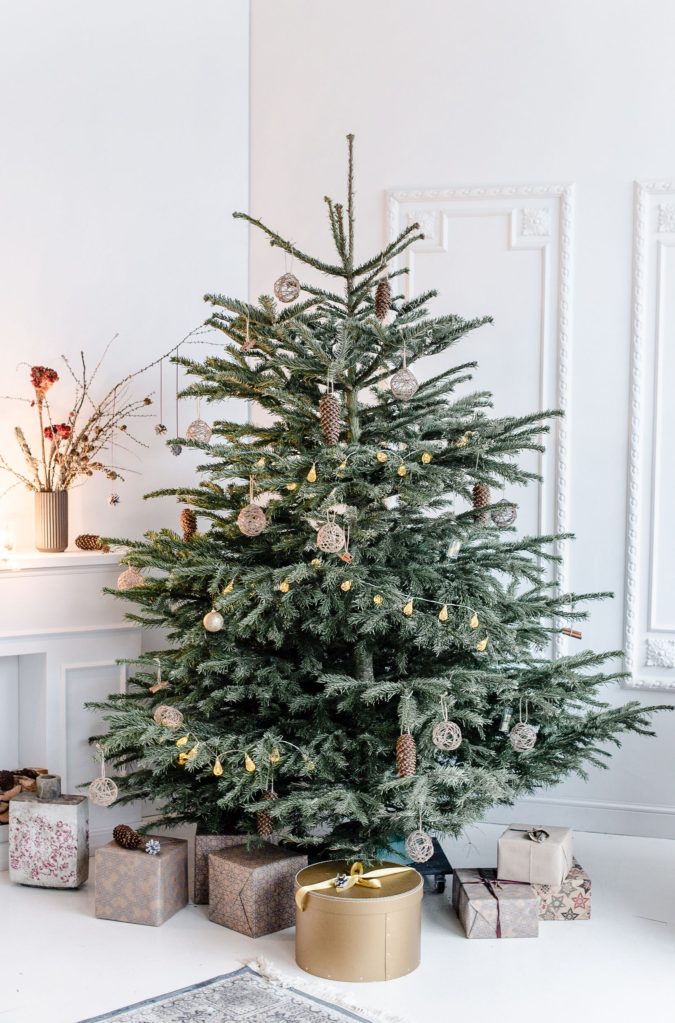Christmas-tree-2-675x1023 50+ Top Christmas Tree Decoration Ideas