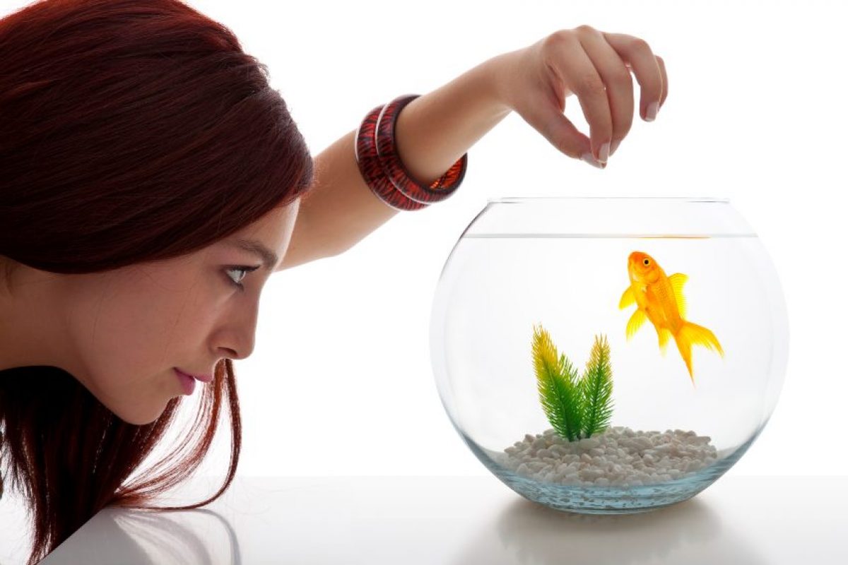 Fishbowl Best 6 Christmas Gift Ideas for Teenagers