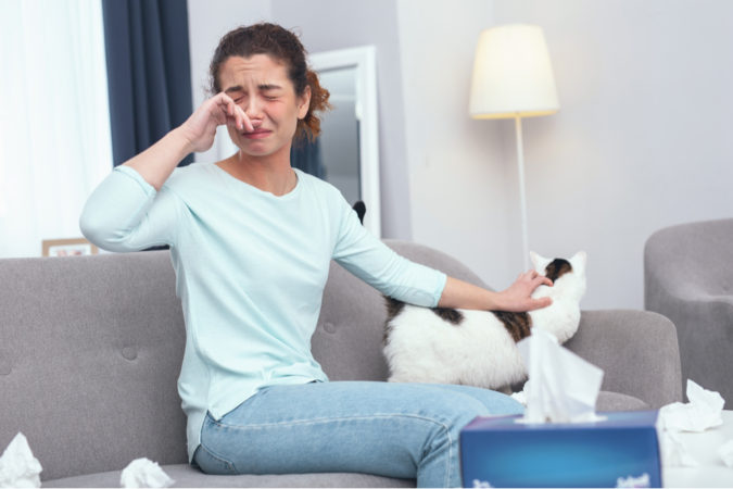 Are Allergies Passed from Parent to Child? 7 allergy 2 Are Allergies Passed from Parent to Child? - 7