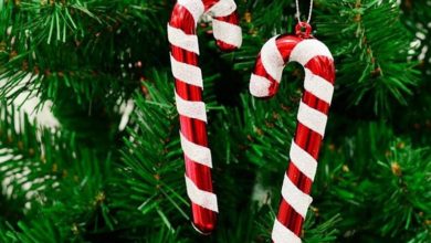 70+ Brilliant Ideas for This Year Christmas Decoration 68 candy cane.. 2 70+ Brilliant Ideas for This Year Christmas Decoration - 68