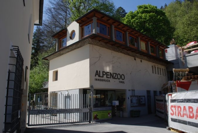 Alpenzoo innsbruck Top 10 Unforgettable Innsbruck Attractions to Visit in Summer - 17