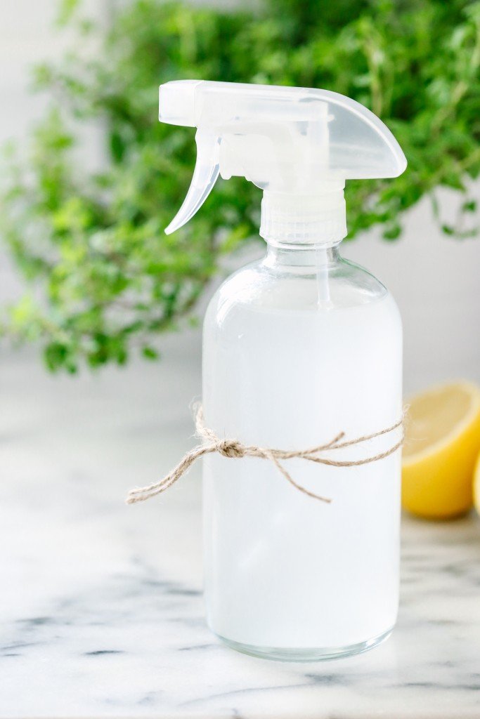10 DIY Hacks to Get Rid of Pests in Your Garden Shed 10 Citrus. 10 DIY Hacks to Get Rid of Pests in Your Garden Shed - 10
