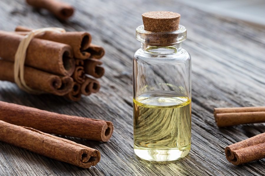 10 DIY Hacks to Get Rid of Pests in Your Garden Shed 18 cinnamon oil 10 DIY Hacks to Get Rid of Pests in Your Garden Shed - 18