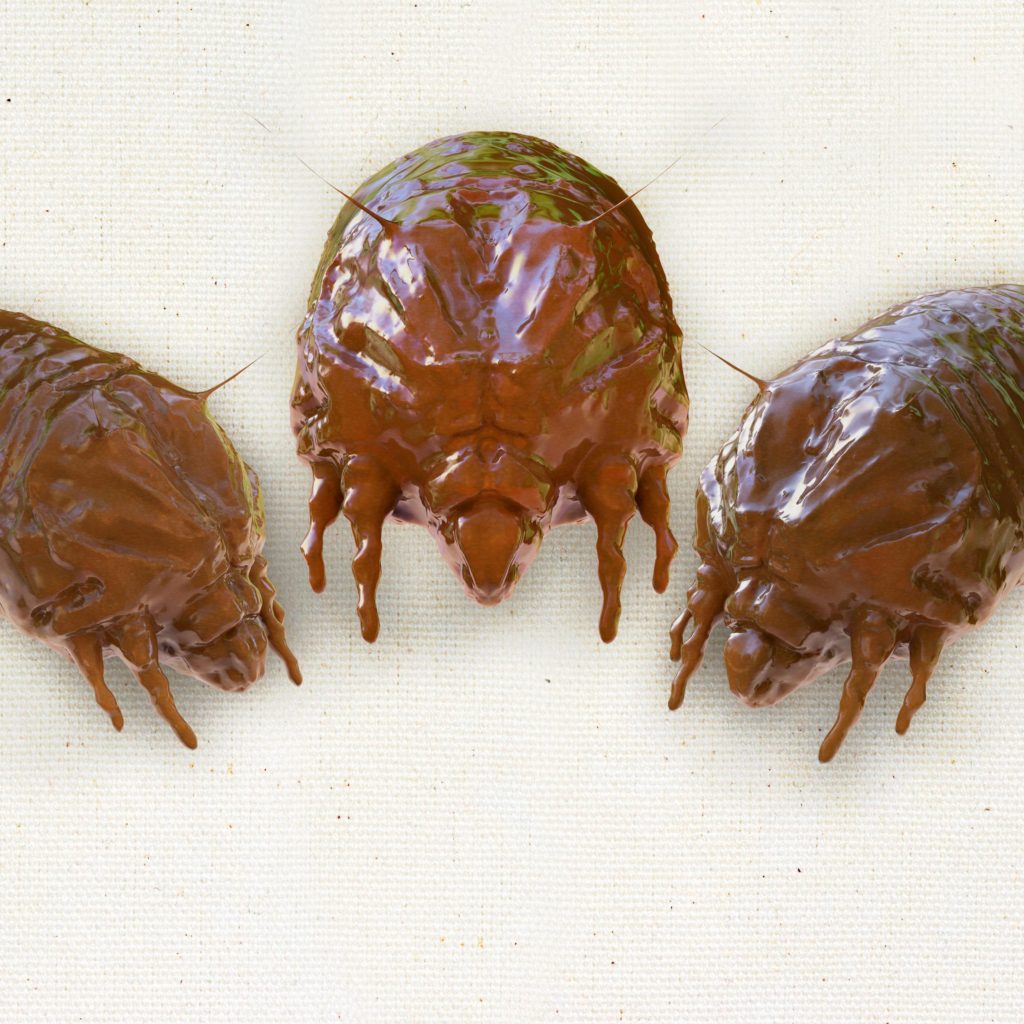 10 DIY Hacks to Get Rid of Pests in Your Garden Shed 19 dust mites 10 DIY Hacks to Get Rid of Pests in Your Garden Shed - 19