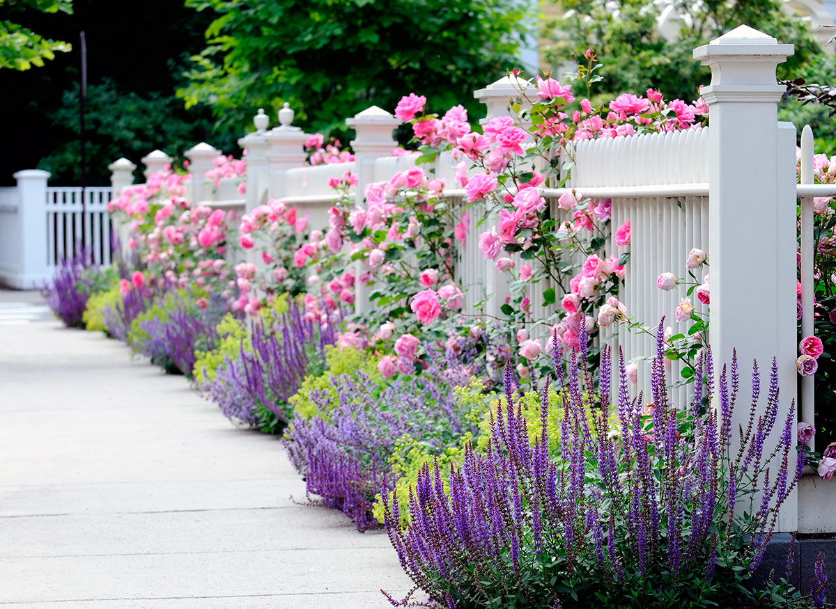 hedges fences or boundary walls 1 100+ Surprising Garden Design Ideas You Should Not Miss - 40 Garden Design Ideas