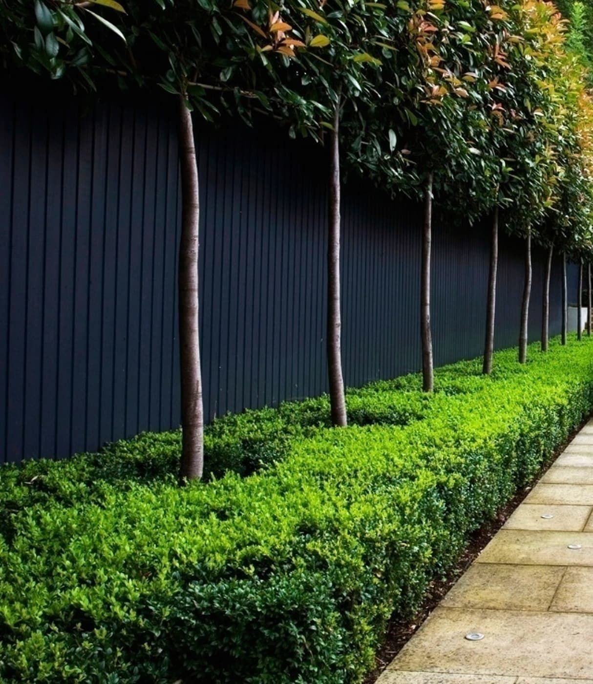 hedges fences or boundary walls.. 100+ Surprising Garden Design Ideas You Should Not Miss - 42 Garden Design Ideas