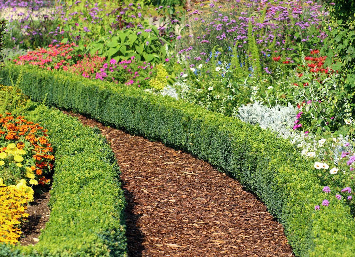 hedges fences or boundary walls. 100+ Surprising Garden Design Ideas You Should Not Miss - 41 Garden Design Ideas