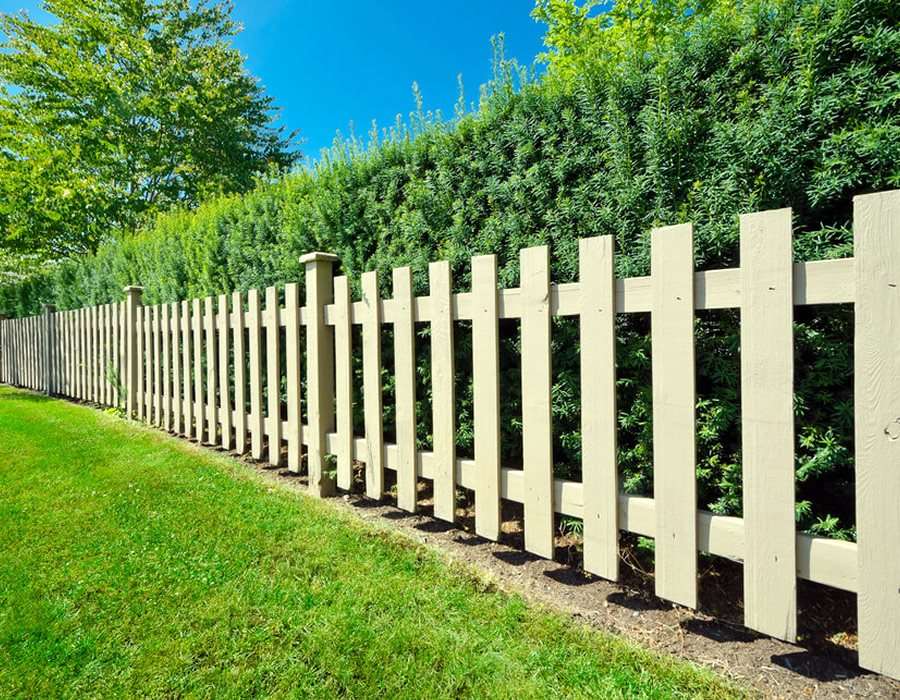 hedges fences or boundary walls. 100+ Surprising Garden Design Ideas You Should Not Miss - 43 Garden Design Ideas