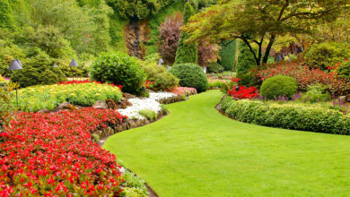 lawn garden 100+ Surprising Garden Design Ideas You Should Not Miss - Lifestyle 6