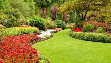lawn garden 100+ Surprising Garden Design Ideas You Should Not Miss - 180