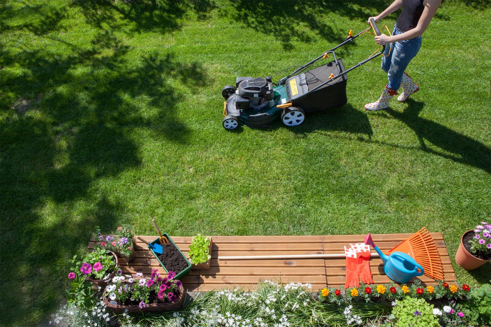 Shape your lawn for better garden design ideas