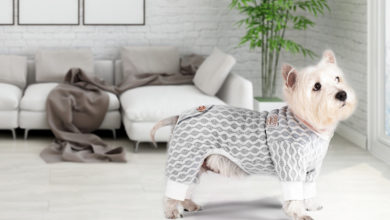 pet pajamas for dogs. Cutest 10 Pajamas for Dogs on Amazon - 24