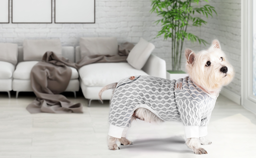 pet-pajamas-for-dogs. Cutest 10 Pajamas for Dogs on Amazon in 2022