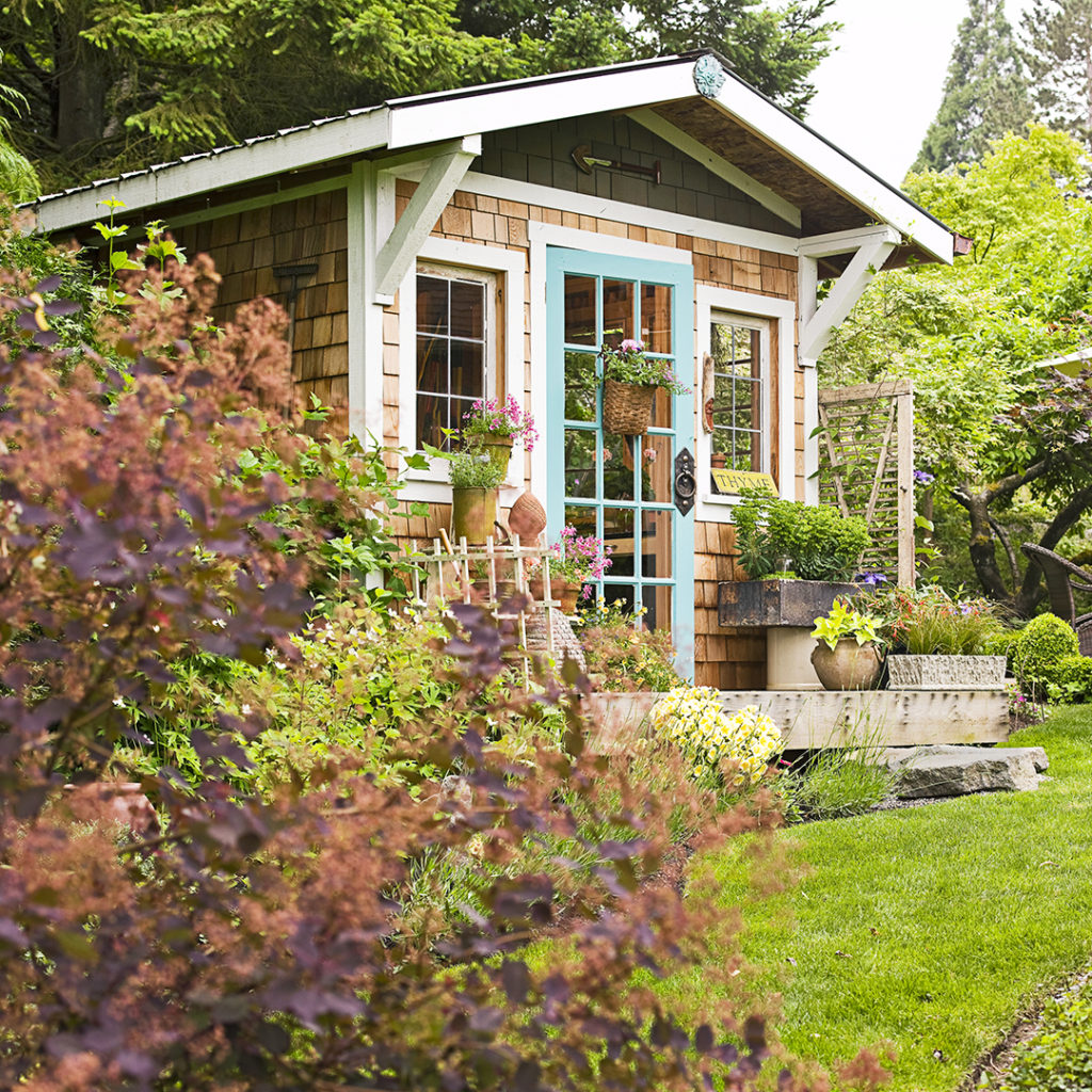 10 DIY Hacks to Get Rid of Pests in Your Garden Shed 6 plants around your shed 10 DIY Hacks to Get Rid of Pests in Your Garden Shed - 6