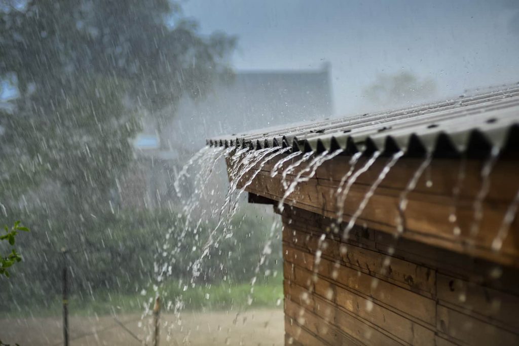 rainwater 10 DIY Hacks to Get Rid of Pests in Your Garden Shed - 20