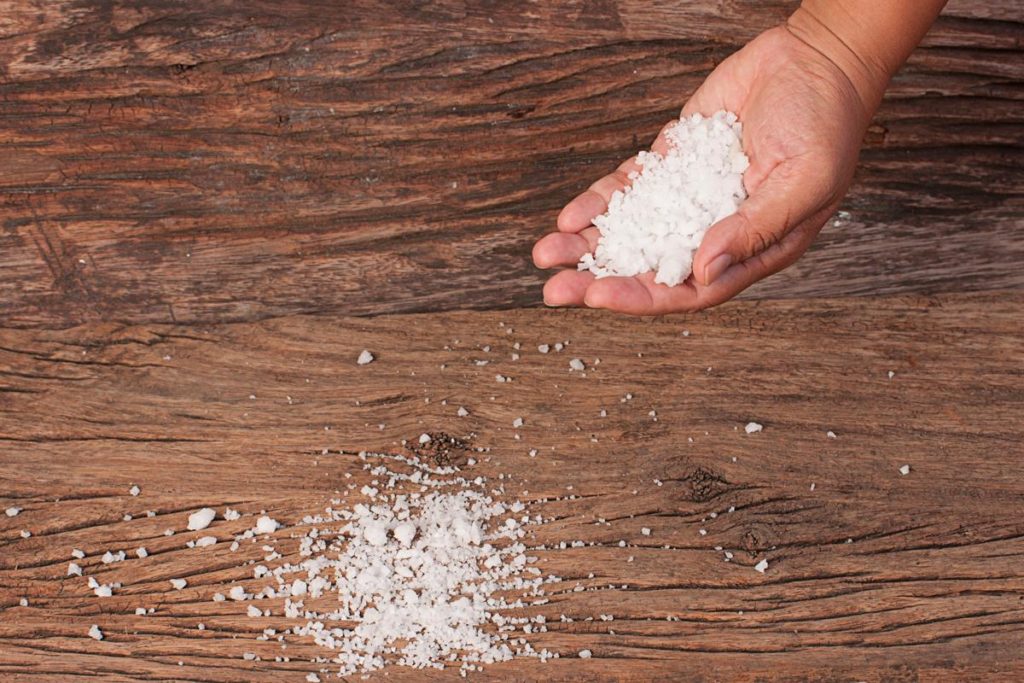 salt 10 DIY Hacks to Get Rid of Pests in Your Garden Shed - 16