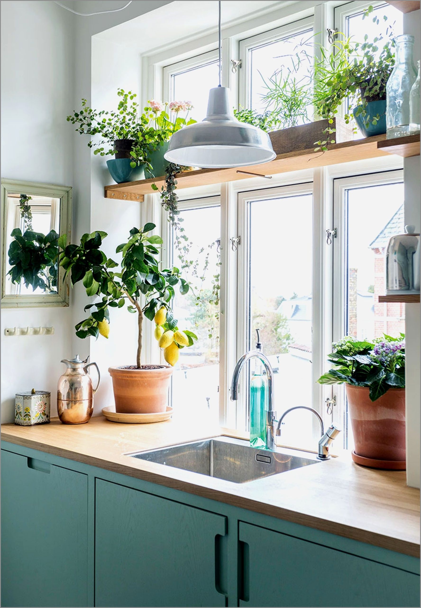 Adding plants 2 scaled 80+ Unusual Kitchen Design Ideas for Small Spaces - 14