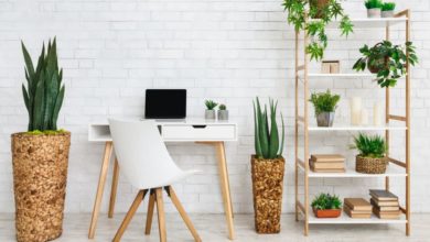 Using plants in study space 1 10 Tips to Design the Study Space Perfectly - 53