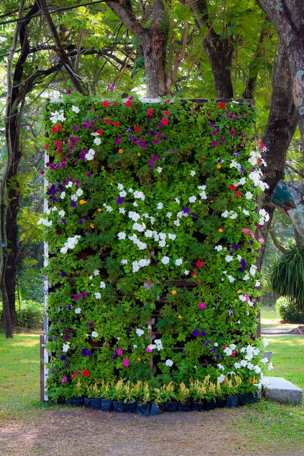 100+ Surprising Garden Design Ideas You Should Not Miss 27 planting in an upward direction 100+ Surprising Garden Design Ideas You Should Not Miss - 27 Garden Design Ideas